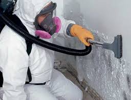 Best Air Quality Testing for Mold Spores  in Signal Mountain, TN